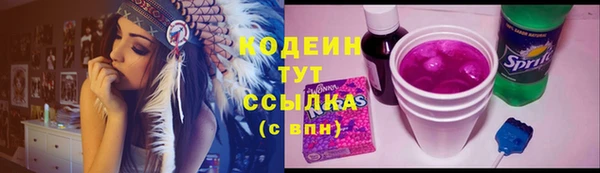 ECSTASY Бородино