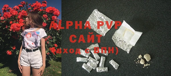 ECSTASY Бородино