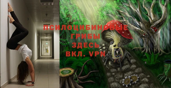 ECSTASY Бородино