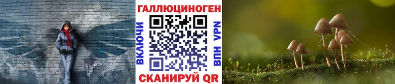 где купить наркотик  Высоковск  Галлюциногенные грибы GOLDEN TEACHER 