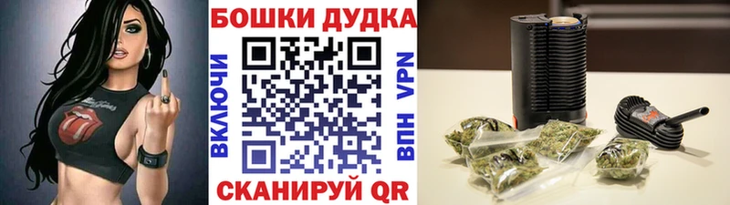 купить   Высоковск  Бошки марихуана сатива 